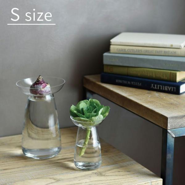 植物が水の中で育っていく美しい過程を楽しめる花器。多様な植物の成長や手入れのしやすさを考慮し、2つのパーツで構成されています。上部の皿はハーブなどの葉の成長をサポートし、ヒヤシンスなどの球根類やアボカドのたねが収まる形状になっています。多肉...