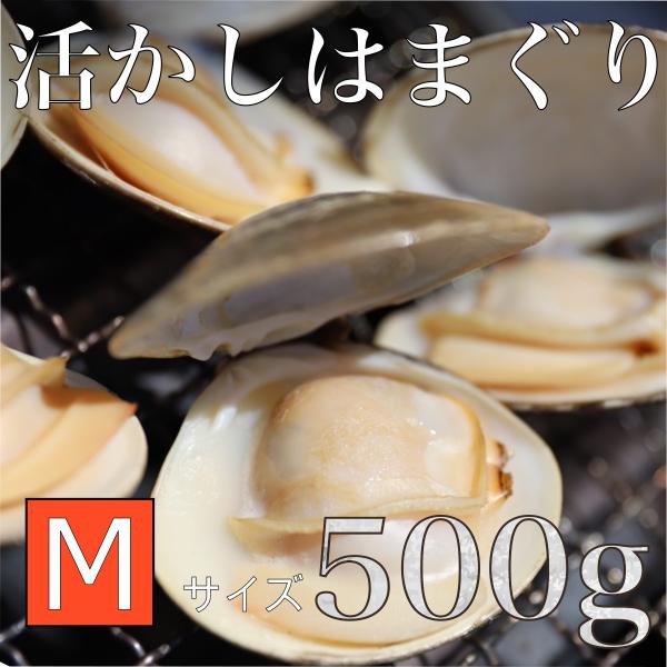 年始の営業につきまして2025年1月1日(水)〜4日(土)の指定着日の注文は休業日のため、注文をお受けすることができかねます。お客様にはご不便をおかけいたしますが、何卒ご理解賜りますようお願い申し上げます。【中国産はまぐりと畜養場】畜養場と...