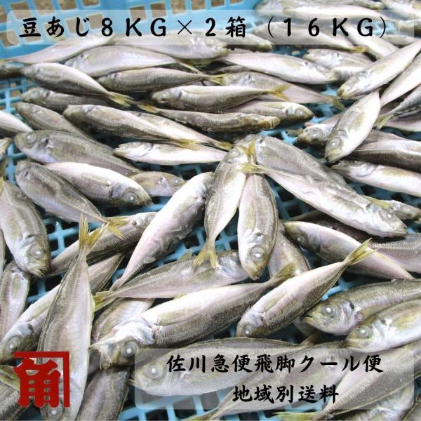 地域別送料 佐川急便発送 冷凍 小あじ 35g 55g ｉｑｆ ８ｋｇ ２箱 １６ｋｇ 業務用 無塩 伊勢志摩産 他商品同梱不可 M 8 干物丸干しの角助屋 通販 Yahoo ショッピング