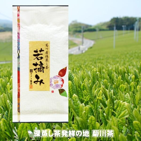 2025年産 お茶 緑茶 日本茶 煎茶 一番茶 若摘み 100g 深蒸し煎茶 送料