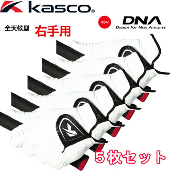 yI[^Z[JÒz5Zbg@SF-2010R@LXR@Ep@DNA O[u@StO[u@KASCO@܂Ƃߔ@
