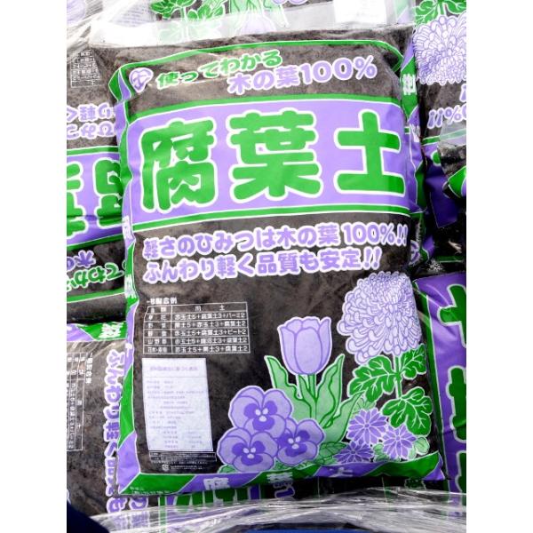 QnY ؂̗t100gp Y ty 40L