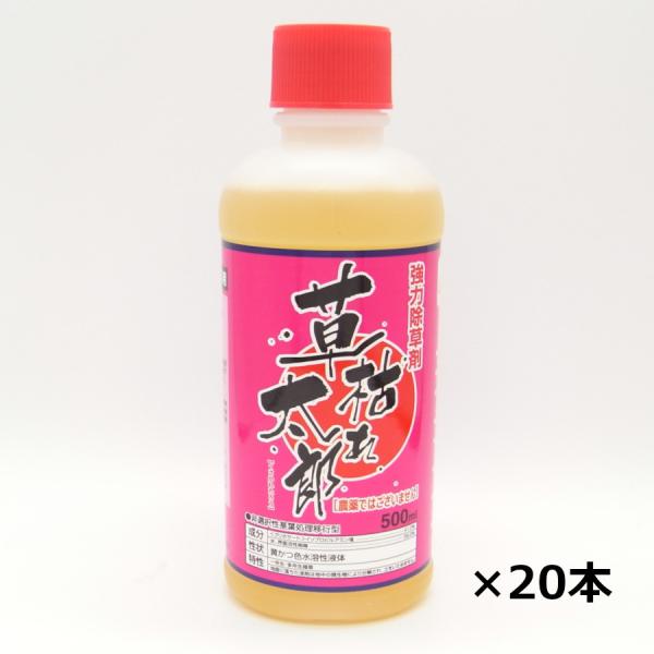  ͂ꑾY 500ml×20{