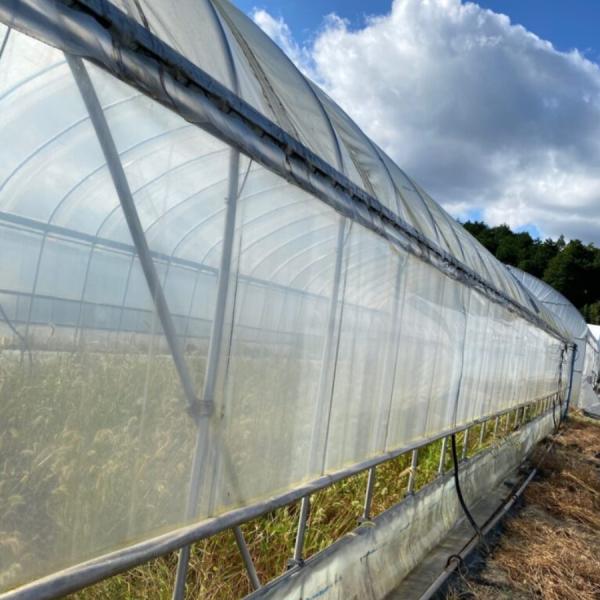 �_�r ���N�[�� ����0.1mm×��135cm×����100m ���[����