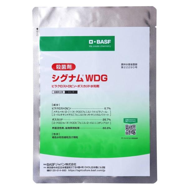 VOiWDG 100g