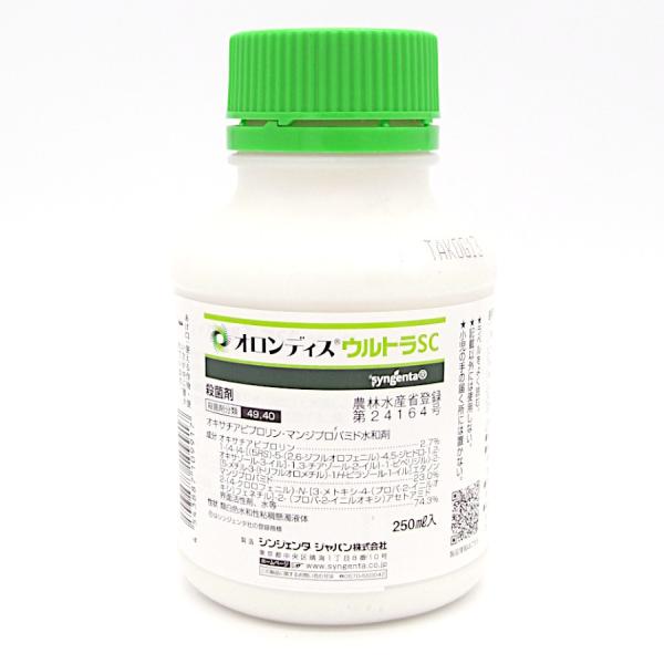 IfBXEgSC 250ml L2026N10܂