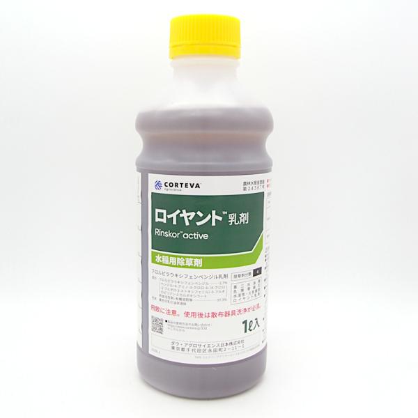 kakuyasunouenn_457110845111812