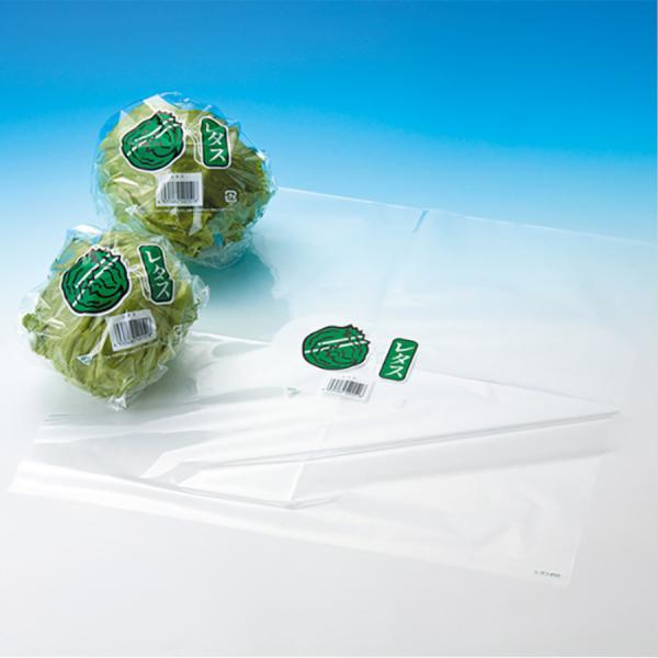 �{�[�h�����^�X�V�[�g 3C 2000��