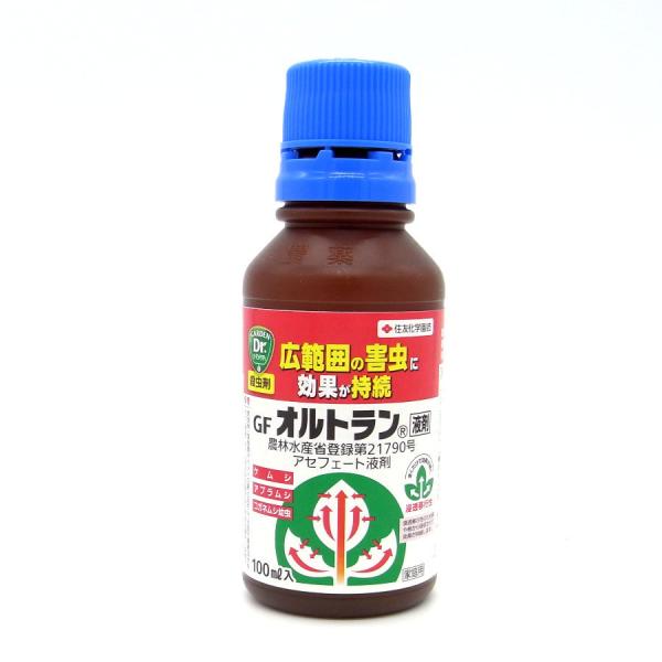 Igt 100ml