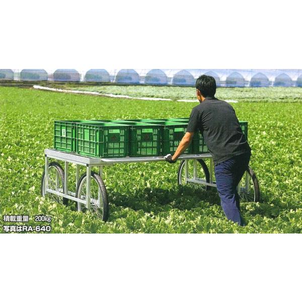 @l著 nbNX yY ͌^ RA-500N n