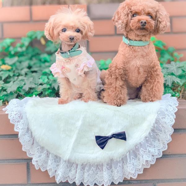 kalinawansgogoh_k036113