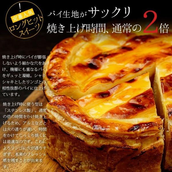 アップルパイ ぎゅうぎゅうリンゴのアップルパイ お取り寄せ ケーキ タルト りんご1 5個を使用したリンゴのパイ リンゴパイ フルーツタルト Surbhipansari Com