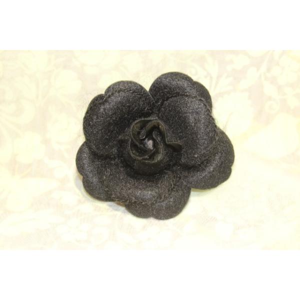 RT[W o JWA ubN  x[W {  Ǝ      ~jRT[W q LbY ̎q tFgo