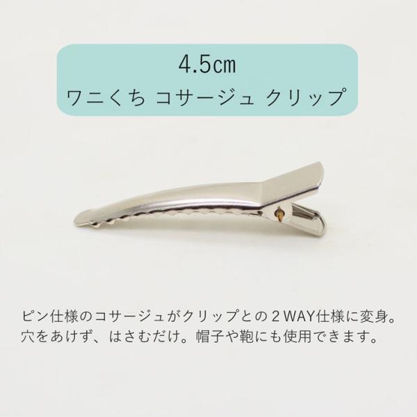 RT[W Nbv  Vo[ u[` _bNs Ɍ wANbv  ܂ݍ׍H |  i ANZT[ p[c  ޗ  y