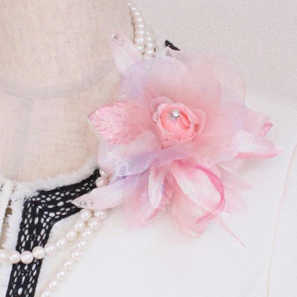 RT[W tH[}   Ǝ  w sN P_ 1_  CXg[  ؂₩ I[KW[  {