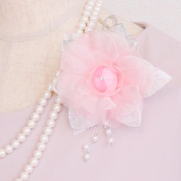 yd̂P_́z RT[W tH[} sN p[    191118_onl_20