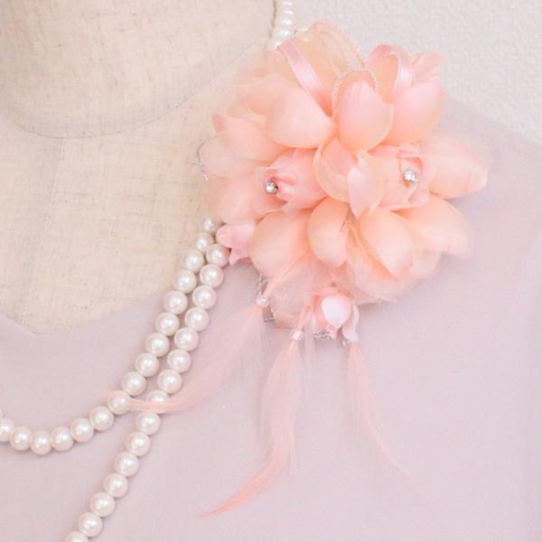 RT[W tH[}   Ǝ  w P_ sN  {  P[X H h  킢 I[KW[