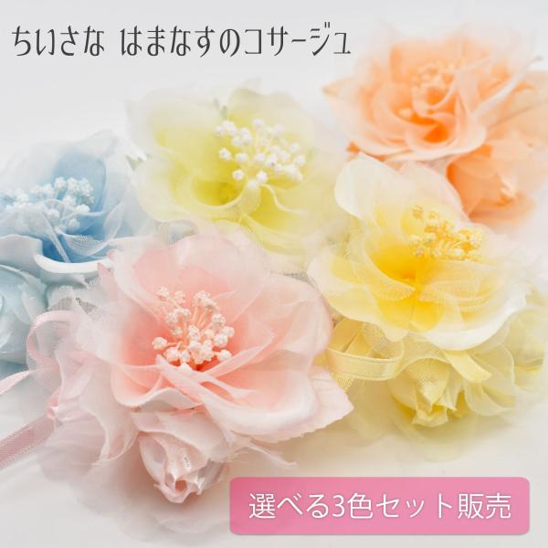 RT[W 3Zbg LbY q ̎q w Ǝ \ ܎O  tH[} sN F CG[ F u[ ~j 