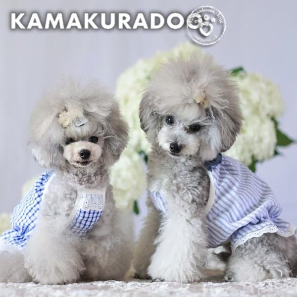 涼風ワンピース　犬の服