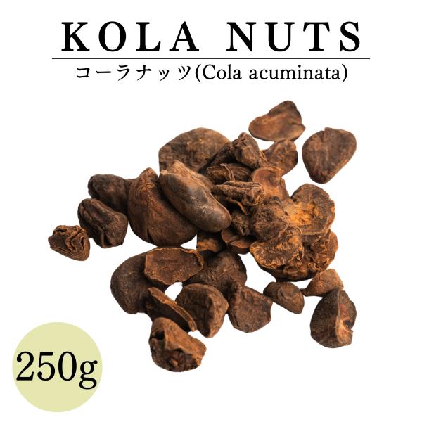コーラナッツ 250g 業務用  ( ジャマイカ 産）  鎌倉てとら  ( 鎌倉香辛料 ）
