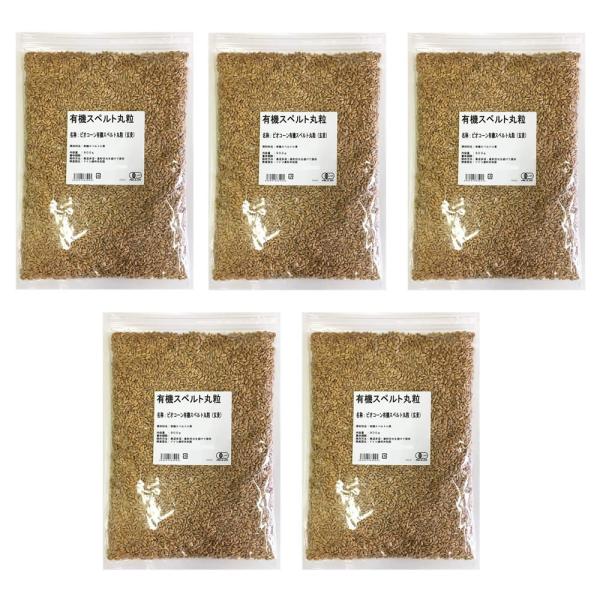 有機スペルト小麦 丸粒 4.5kg（900g×5袋）  (有機JAS認証 ／ ドイツ産）  オーガニック 無添加 農薬不使用 無化学肥料 鎌倉てとら  ( 鎌倉香辛料 ）