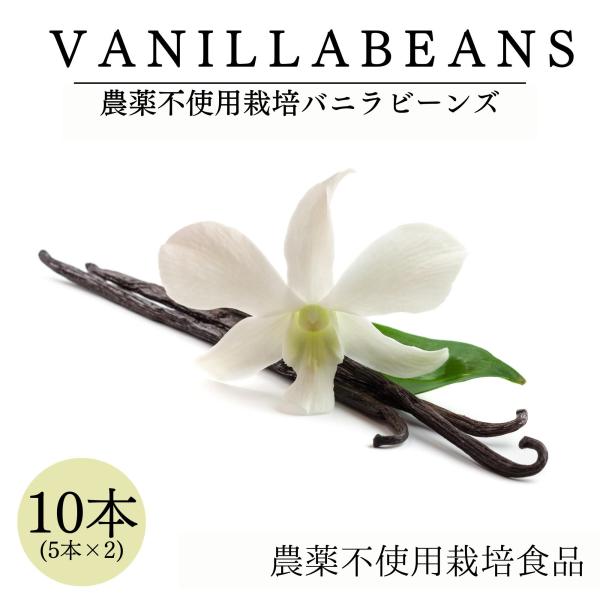 【マダガスカル産】中身がふっくらして柔らかく、フルーティーでやさしく、豊かな香りが特徴です。【やさしく甘い香り】どんなスイーツも苦みは弱まり甘みは強まる、魅惑の芳香のバニラです。【疲れた体にホッと一息】甘くやさしいバニラの香りが、リラックス...