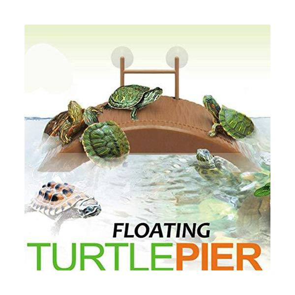 亀 水槽 大型 みんな探してる人気モノ 亀 水槽 大型 ペット ペットグッズ