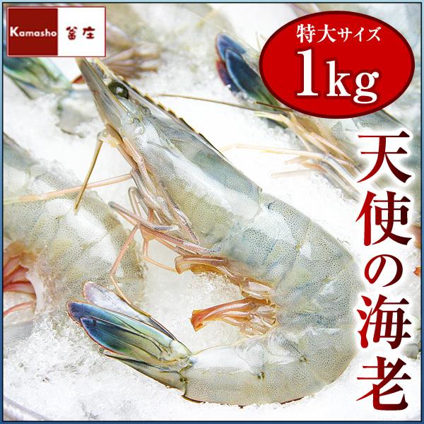 天使の海老 特大 1kg 30尾入 天使のエビ 天使のえび 30 30 匹 敬老の日 プレゼント 食べ物 00v 215 名代 釜庄 通販 Yahoo ショッピング