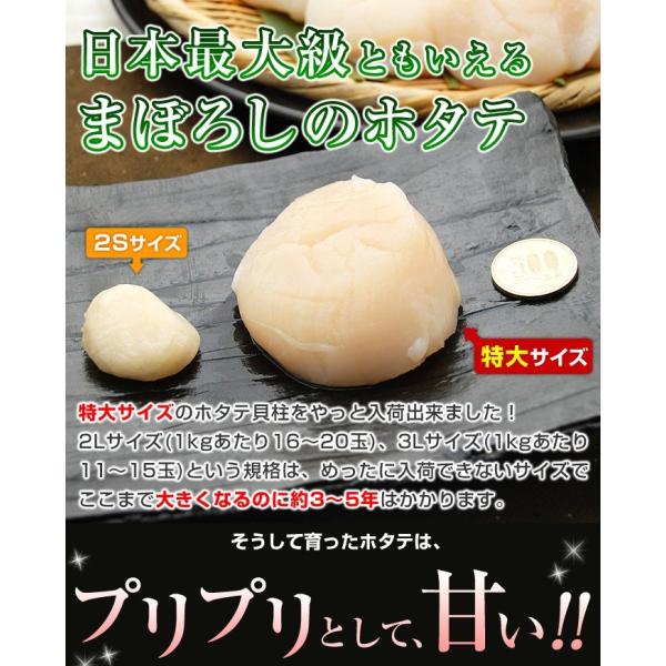 ホタテ貝柱 3Lサイズ 超特大 ジャンボ ほたて貝柱 1kg 11-15玉入 ホタテ 特大 ほたて 貝柱 1kg 帆立貝柱 刺身 /【Buyee】 ホタテ貝柱 3Lサイズ 超特大 ジャンボ ほたて貝柱 1kg 11-15玉入 ホタテ 特大 ほたて 貝柱 1kg 帆立貝柱 刺身 /【Buyee】