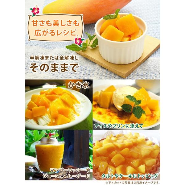 マンゴー 冷凍マンゴー 業務用 カット済み 完熟マンゴー 冷凍フルーツ 500gを2袋 計1kg Buyee Buyee Japanese Proxy Service Buy From Japan Bot Online
