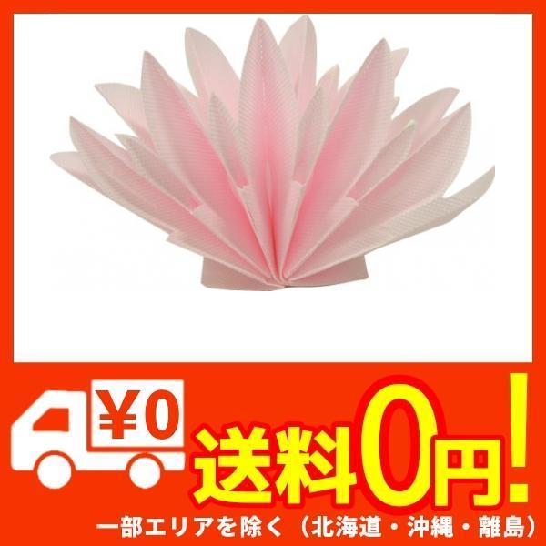 ミクニ ちょこっとオアシスプラス交換用フィルター ピンク U50e 08 エコ加湿器専用交換フィルター B003tqkgla 蒲田factory 通販 Yahoo ショッピング