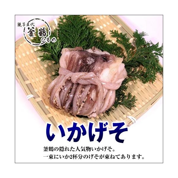 いかげそ 1束 国産 無添加 熱海 釜鶴 ひもの 釜鶴ひもの店 Yahoo 店 通販 Yahoo ショッピング