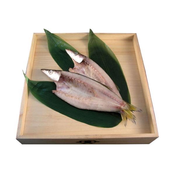 かます 干物（1枚）国産 無添加 熱海 釜鶴 ひもの（冷凍）
