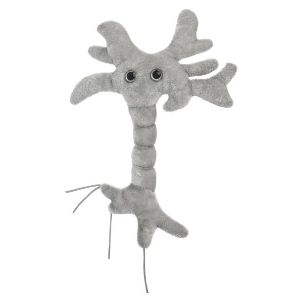 GIANTmicrobes Brain Cell Plush Neuron Plush Neuroscience Gifts Neurology Gifts Science Plush Neuron Model Anatomy Psycho