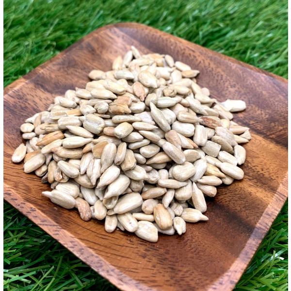 Ђ܂̎@QOOg@yWbvpbNz