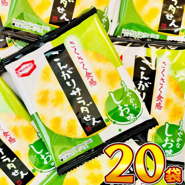 亀田製菓 亀田のこんがりサラダせん 業務用 小袋 20袋　メール便 送料無料 ポイント消化 バラまき お試し 訳あり サラダせんべい 個包装 業務用