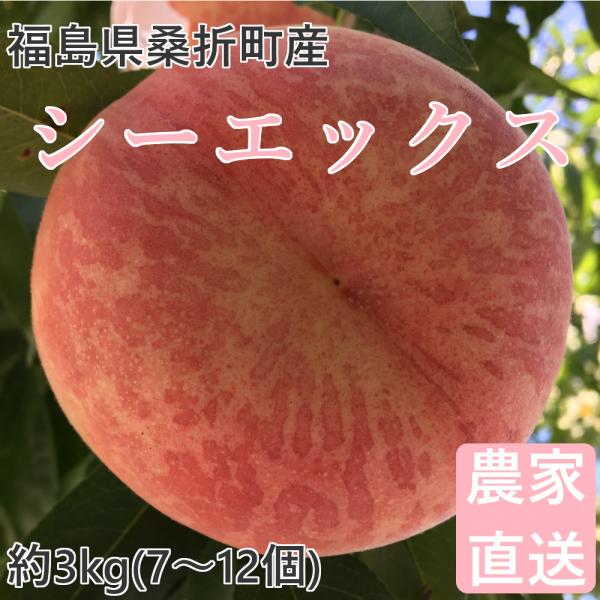 桃 シーエックス 3kg 福島桑折町産 9月中旬-9月下旬お届け 7〜12個