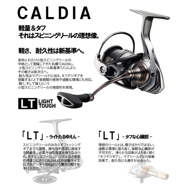 ダイワ 18 カルディア Lt 3000 Cxh G 90 Buyee Buyee 日本の通販商品 オークションの代理入札 代理購入