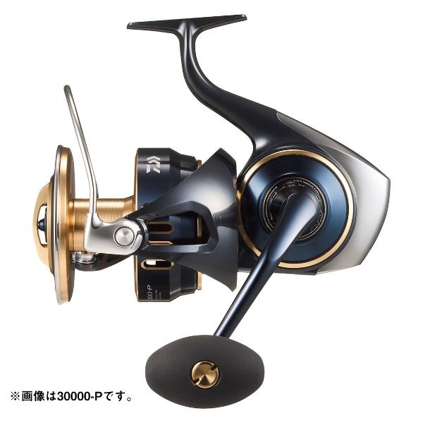 ⭐️【Daiwa 石鯛　ワッペン　4枚セット】⭐️新品未使用⭐️ original.png?w=320