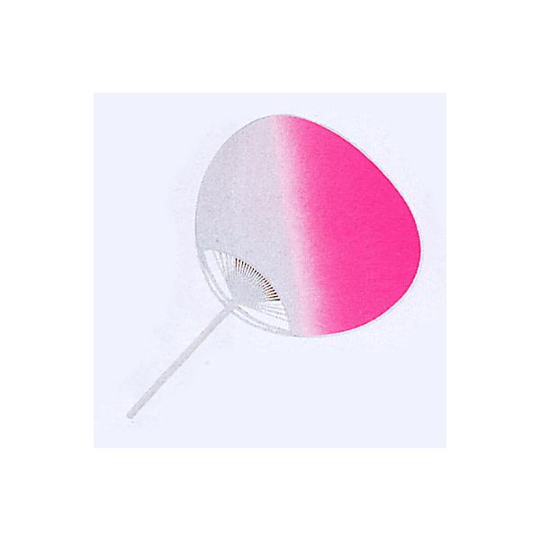  Ղ c Ղ Ւc ڂ  ~x Cxg Ղpi 36×24cm sN