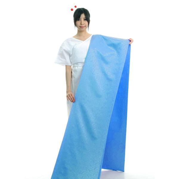 反物 紗 女性着物 | 通販・人気ランキング - 価格.com