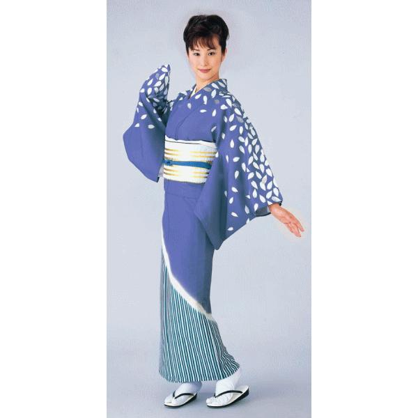 洗える着物訪問着４ imgrc0110472979.jpg