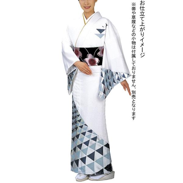 kameya_npd-1001
