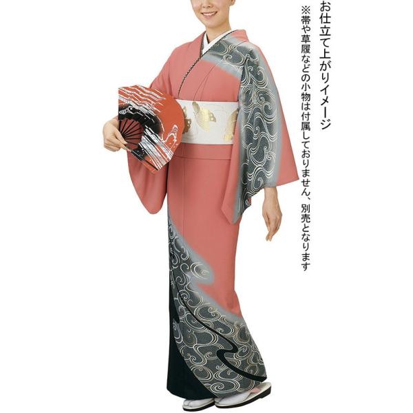 訪問着 着物 反物 女性 男性 踊り 絵羽 紅梅色 流星群 洗える着物