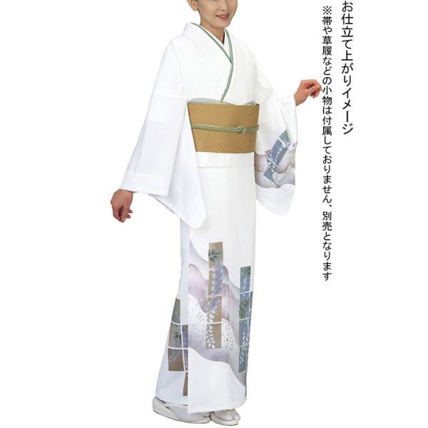 訪問着 着物 反物 女性 男性 踊り 絵羽 白 藤 洗える着物 : カメヤ