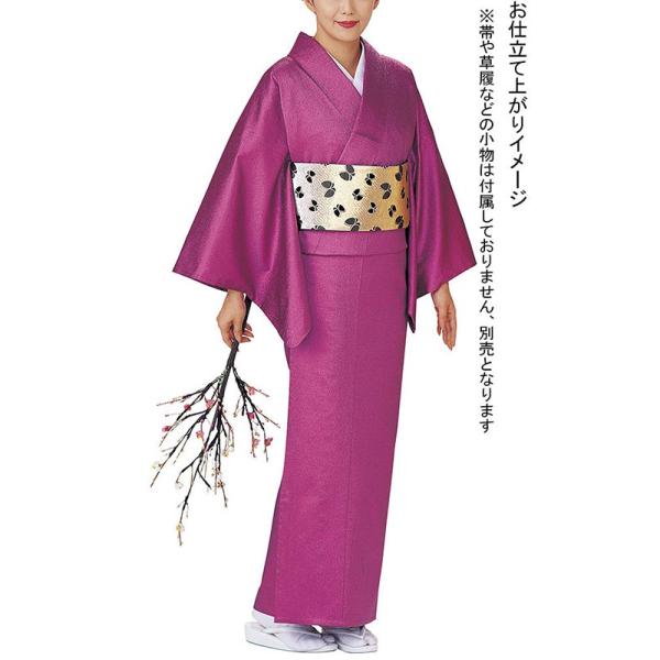 色無地 着物 反物 ラメ 踊り 舞台 ステージ 日本製 オーロラ 洗える