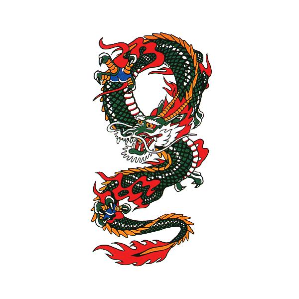 y[p[ ^gD[ h V[ n {fB yCg  藳 20×35cm Ղpi