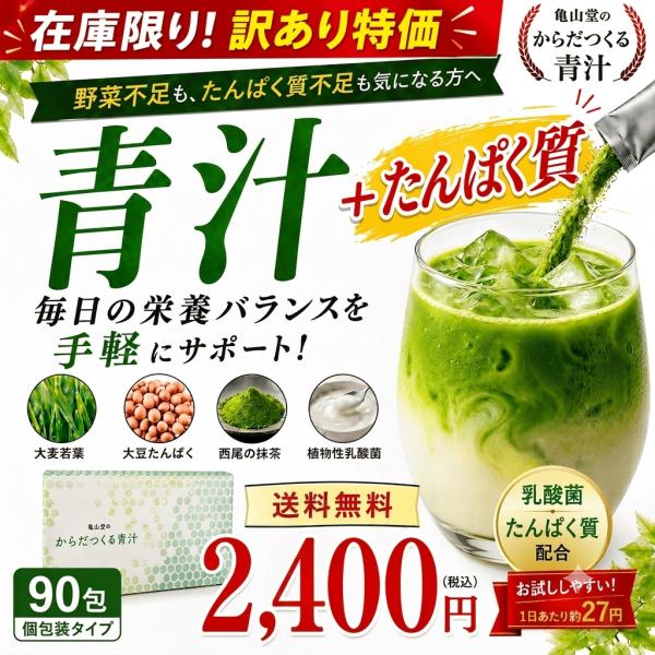 青汁 訳あり 乳酸菌 たんぱく質 90包 大容量 送料無料 からだつくる青汁 大麦若葉 ソイプロテイン 抹茶風味 個包装 亀山堂 在庫限り ポイント消化
