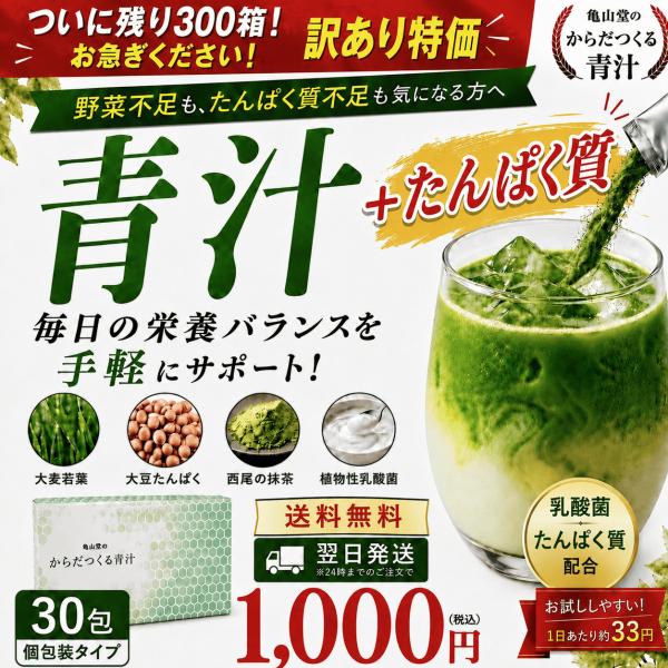 青汁 訳あり 乳酸菌 たんぱく質 1000円 ポッキリ おいしい 30包 送料無料 からだつくる青汁 大麦若葉 ソイプロテイン 抹茶風味 個包装 亀山堂 ポイント消化