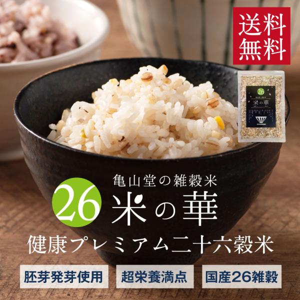 G Ẳ 26   N H@ \Z G TR  h{ Y 500g  |Cg